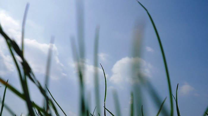 in movimento "erba e nuvole"